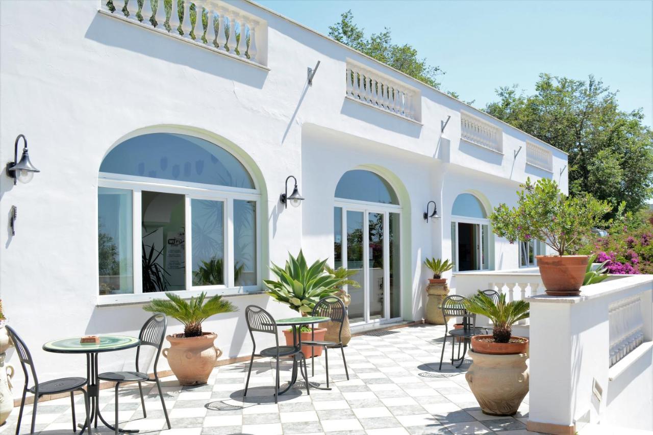 Hotel La Ginestra Forio di Ischia Exteriér fotografie